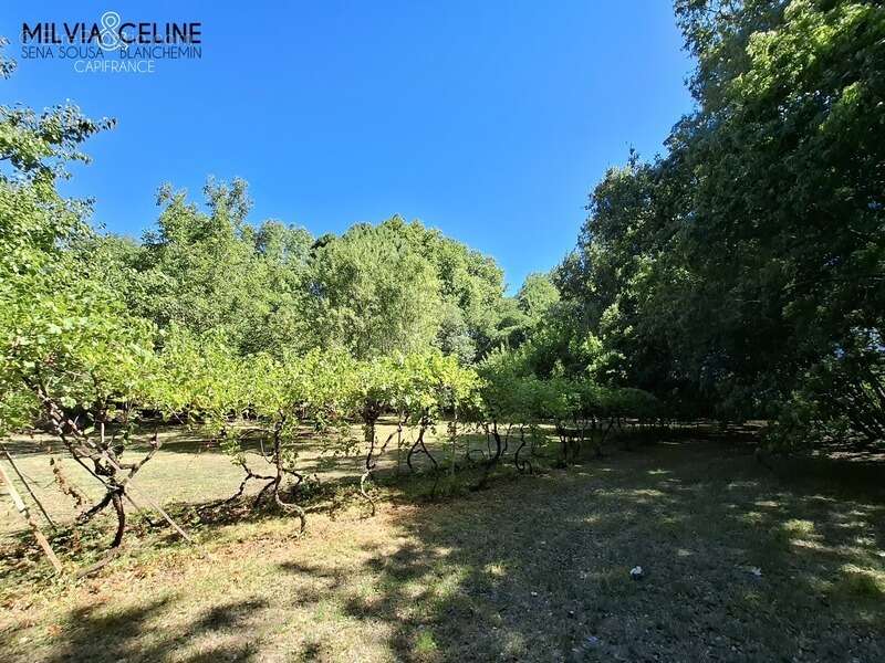 Maison à CARCASSONNE