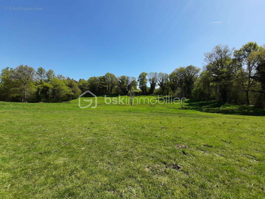 Terrain à CHAILLAC-SUR-VIENNE