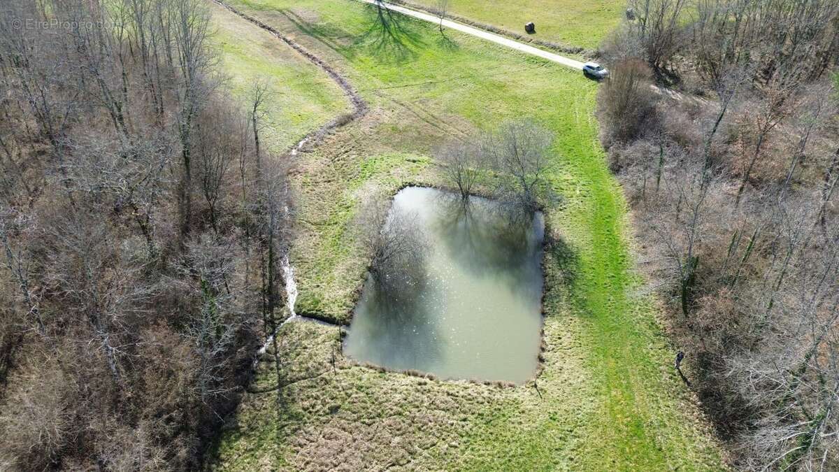 Terrain à DOUVILLE