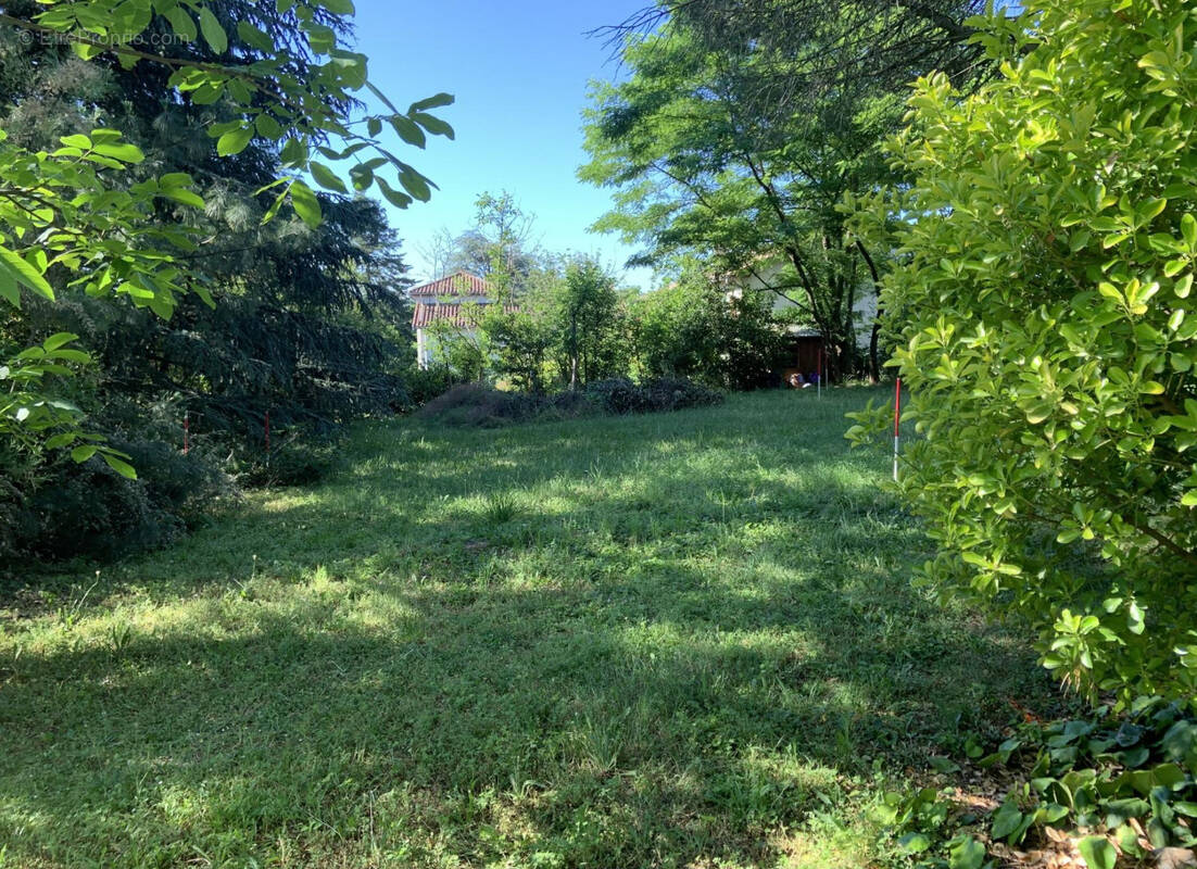 Terrain à LA TOUR-DE-SALVAGNY