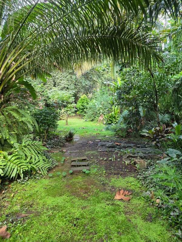 Maison à BAIE-MAHAULT