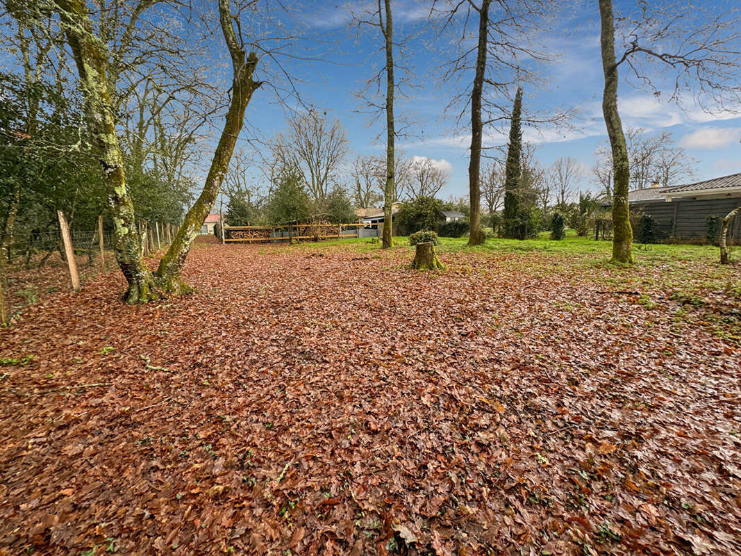 Terrain à CANEJAN
