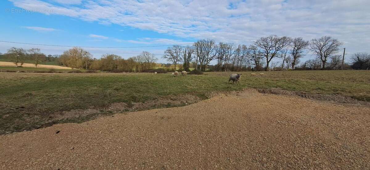 Maison à BONCHAMP-LES-LAVAL