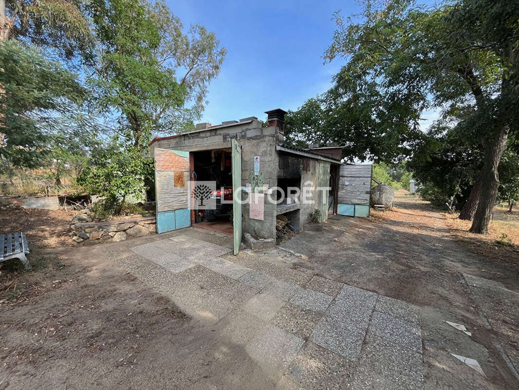 Terrain à LAROQUE-DES-ALBERES