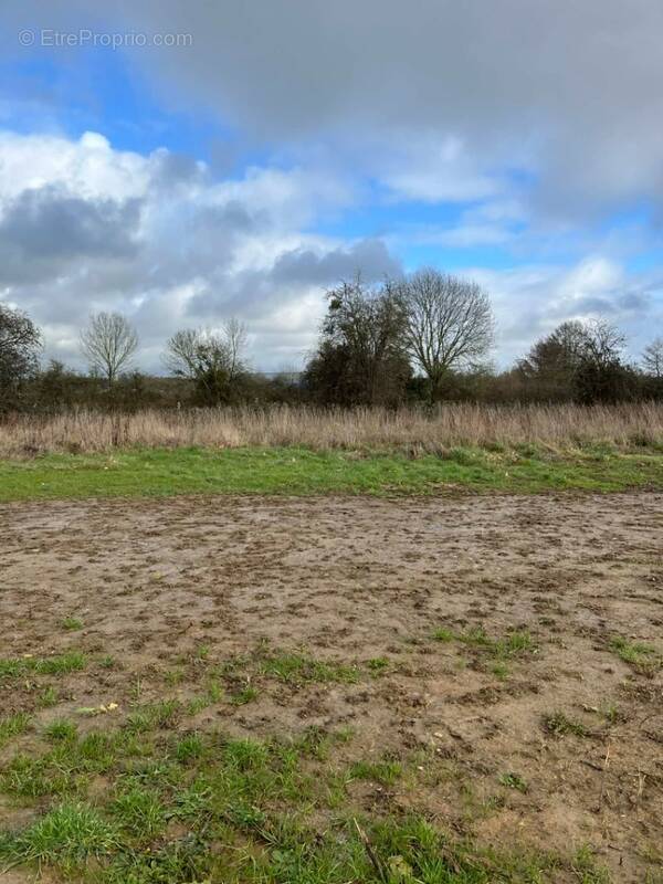 Terrain à CERISE