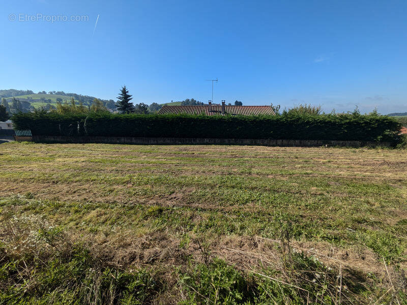 Terrain à PANISSIERES