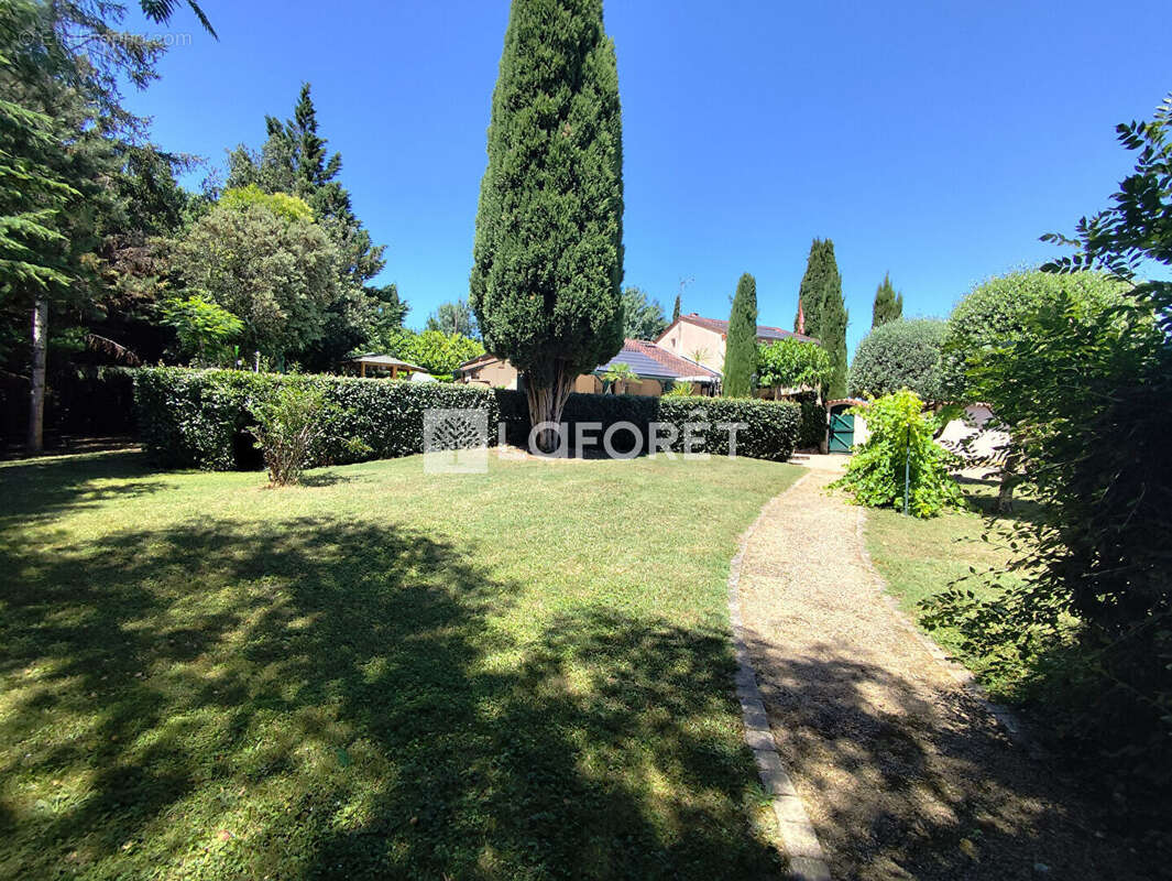 Maison Gaillac - photo 4