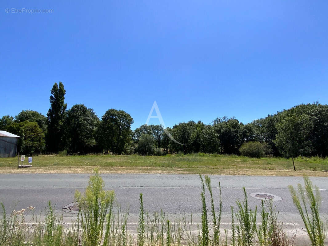 Terrain à SAINT-CIERS-DU-TAILLON