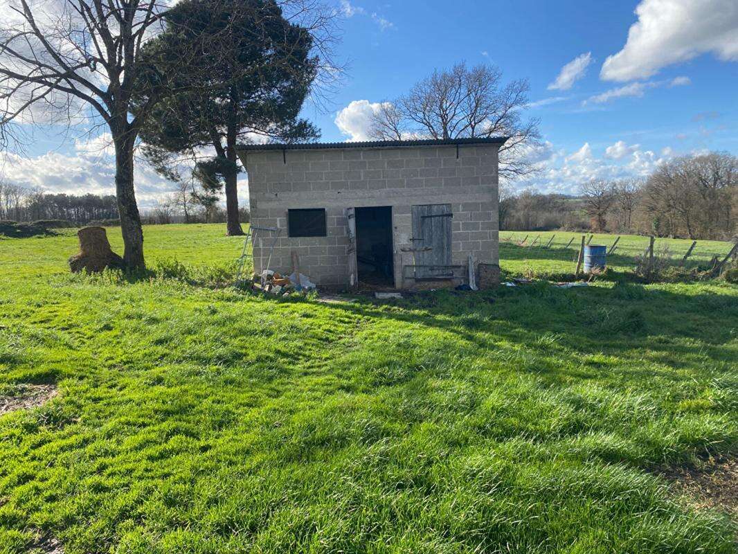 Maison Palluau Sur Indre 4 pièce(s) 100 m2 - photo 8