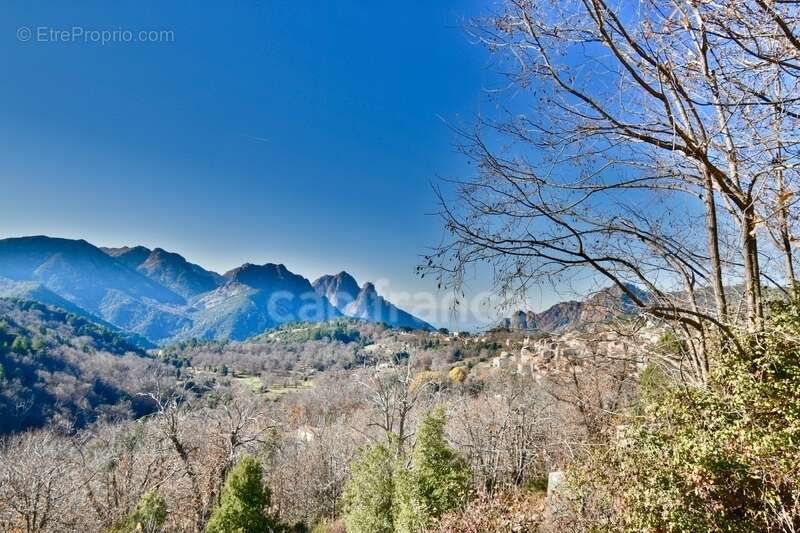 EVISA (Corse) : batiment de 461m fort potentiel de developpement - photo 10
