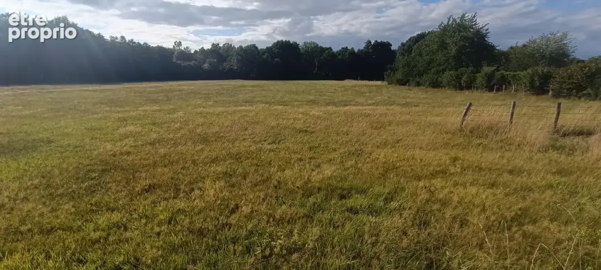 Terrain constructible.  9159 M2 m2 luxeuil - photo 4