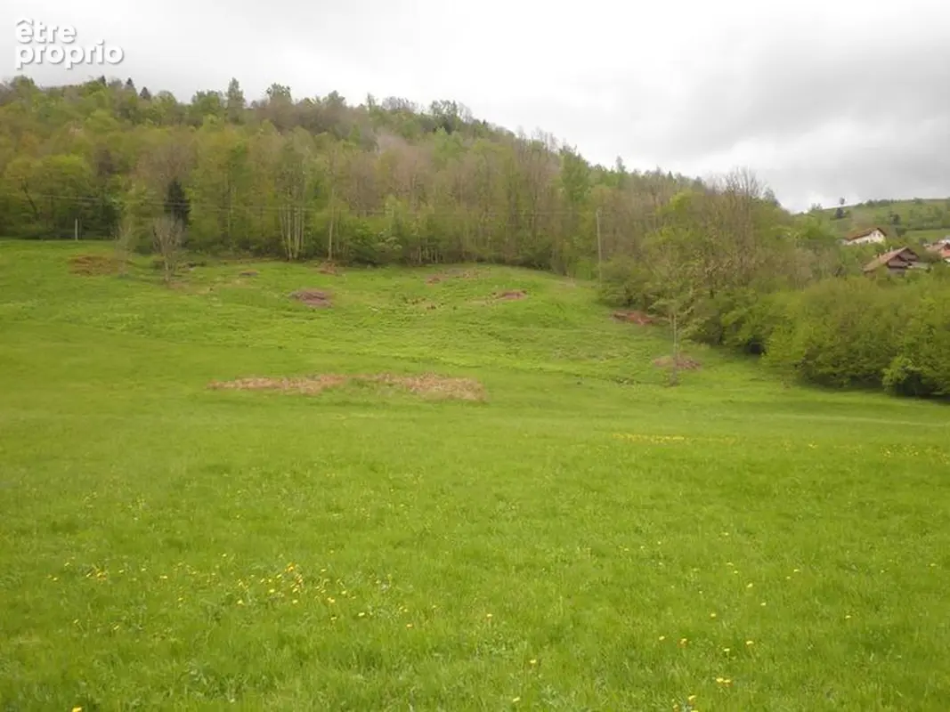 Grand terrain constructible - photo 3