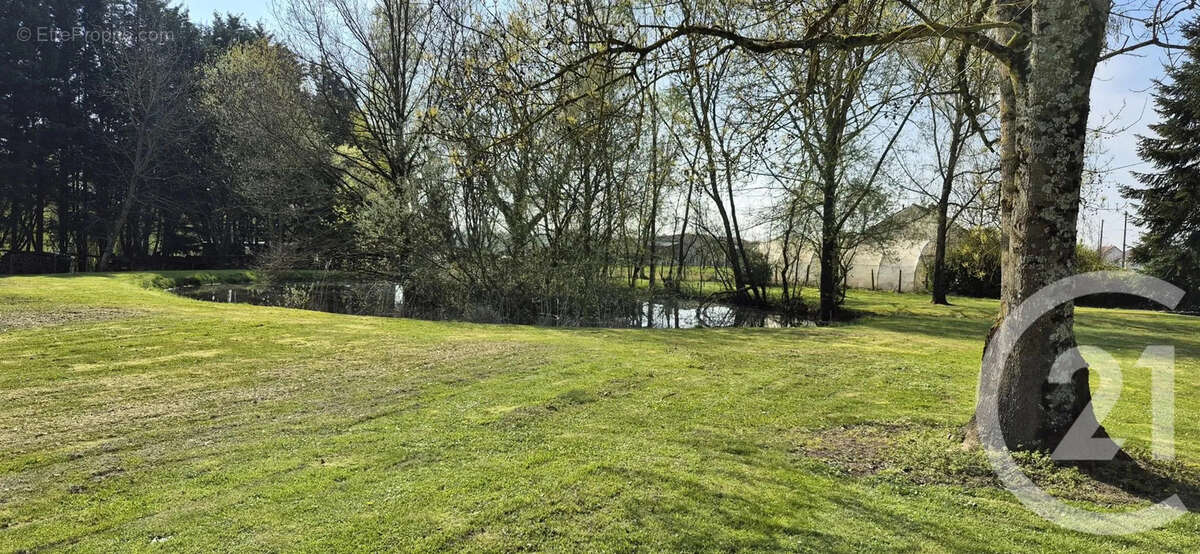 Maison 218 m² à Saint-Usuge  - photo 24