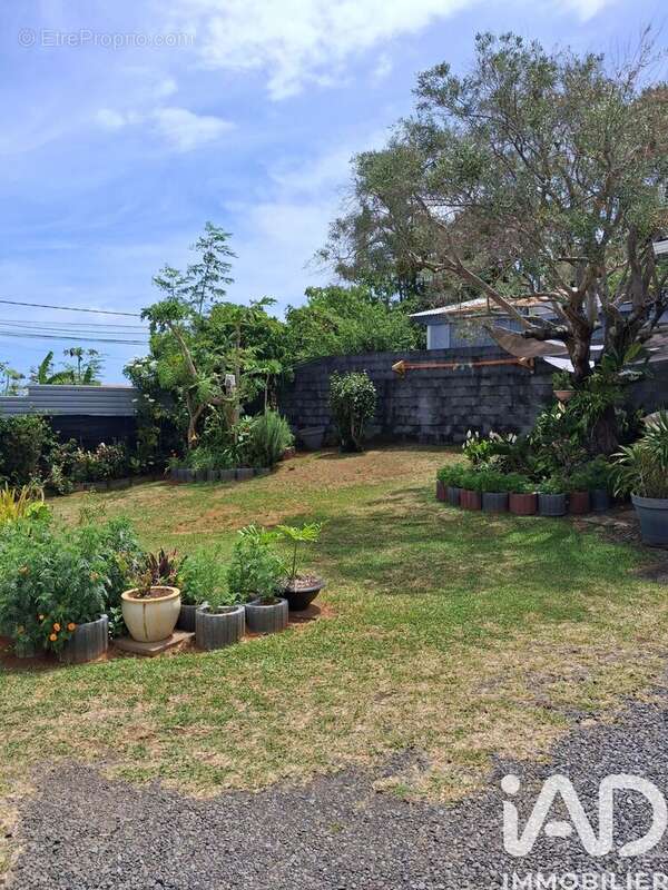 Photo 5 - Maison à SAINT-JOSEPH