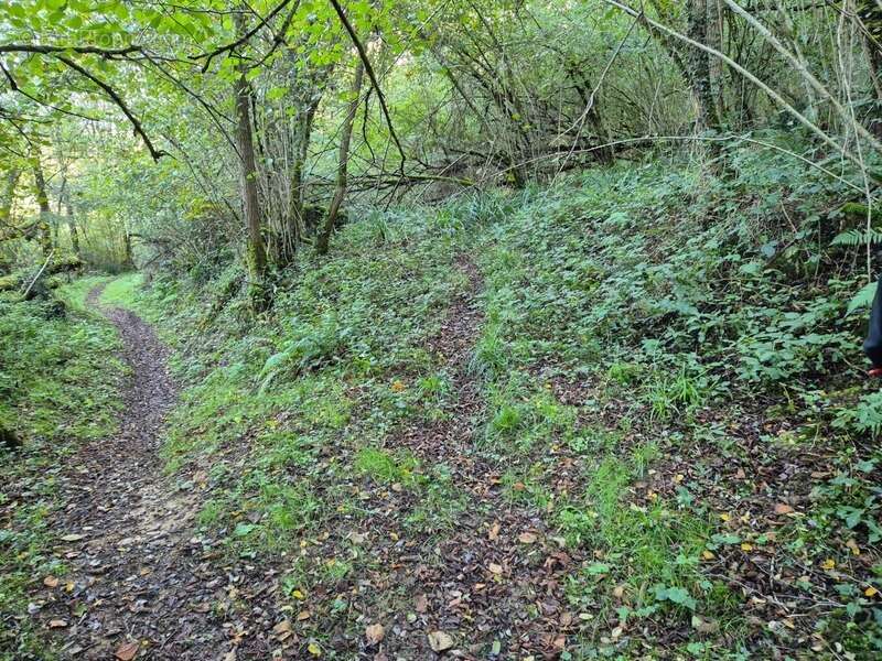 Terrain à SALIES-DE-BEARN