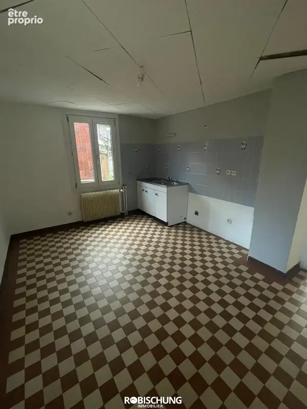 DANNEMARIE : Maison individuelle avec 2 appartements + dépendance - photo 6