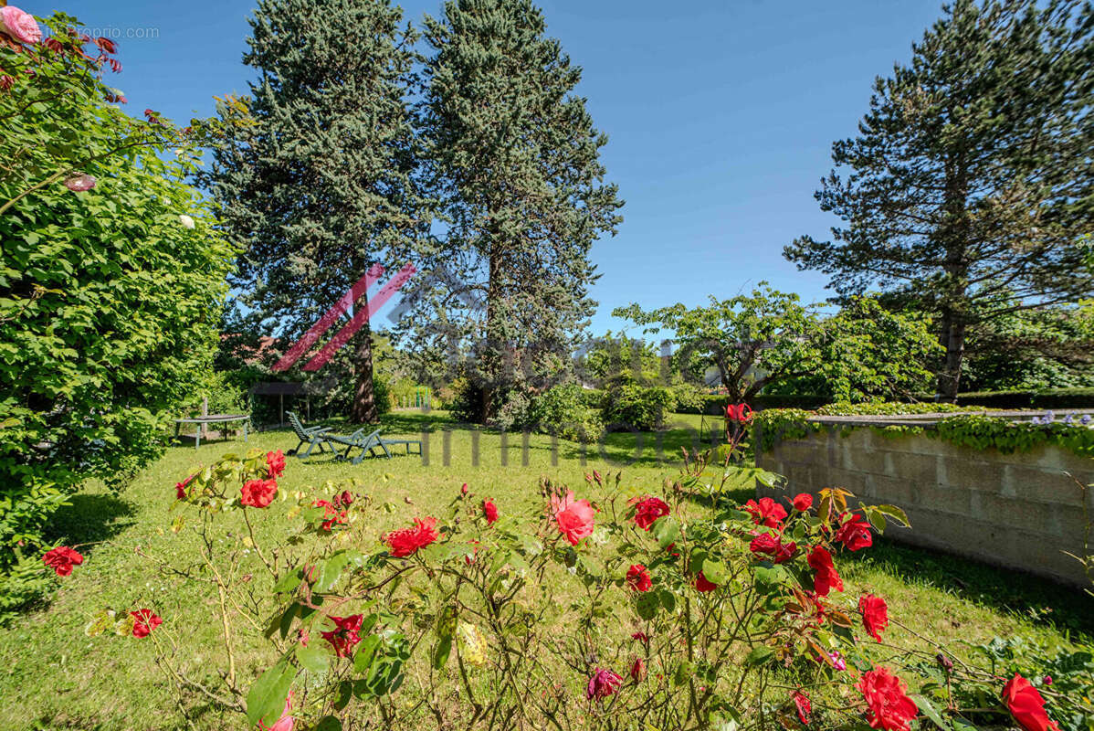 Maison 211 m² à Lons-Le-Saunier  - photo 4