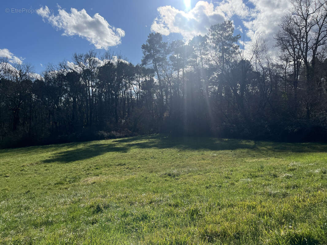 Terrain à LAVEYSSIERE