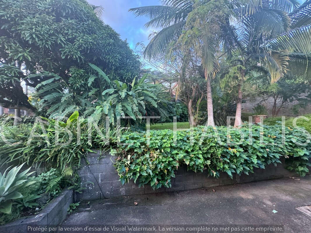 A vendre - terrain 500 m2 env - petite-ile - 175 000 € hai - photo 3