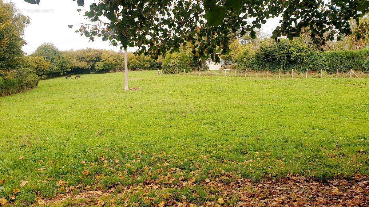 Maison à LA CROISILLE-SUR-BRIANCE