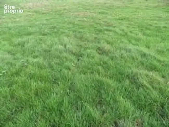 Terrain à VERT-LE-PETIT