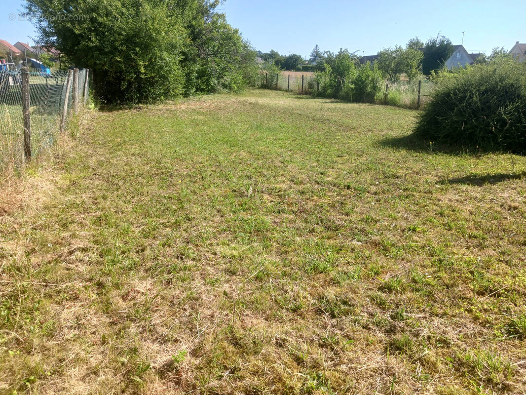 Terrain à PUISEAUX