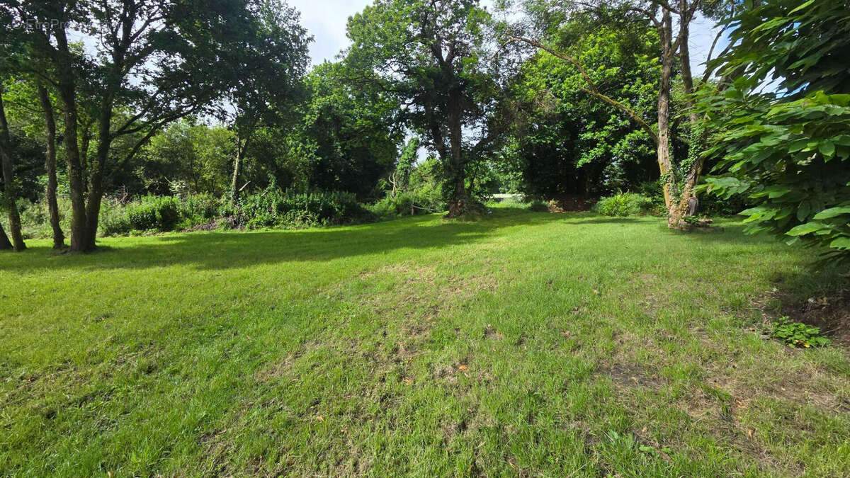 20 min au Sud de Guingamp Maison sur environ 5000m² de terrain avec hangar - photo 8