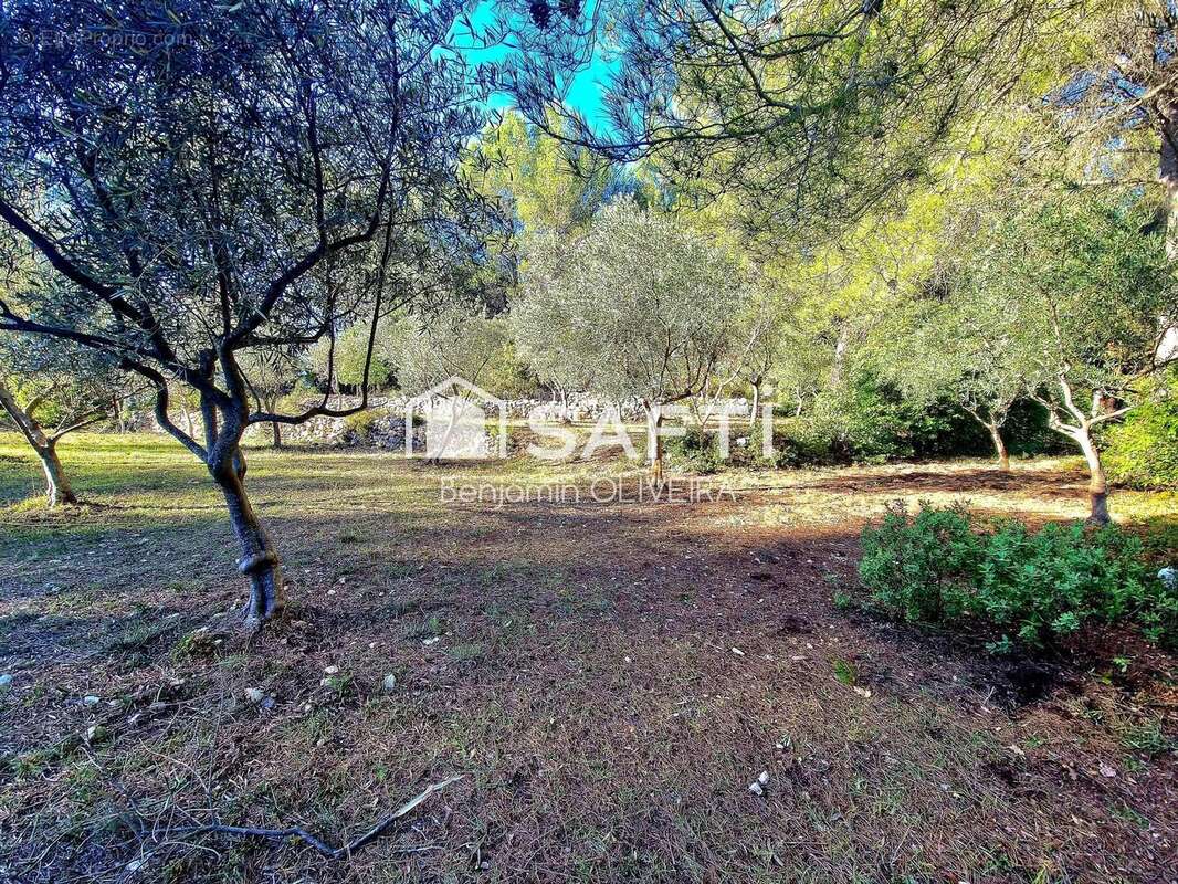 Photo 7 - Maison à AURIOL