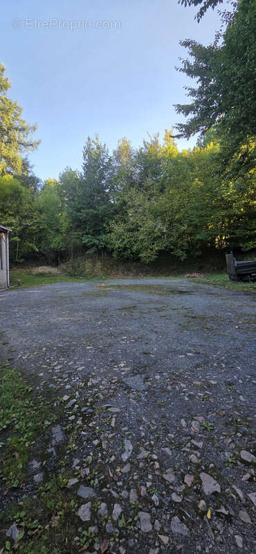 ENTREPOT de 500M2 +  MAISON 3 chambres - photo 17
