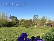 Terrain à HAUTEVILLE-SUR-MER