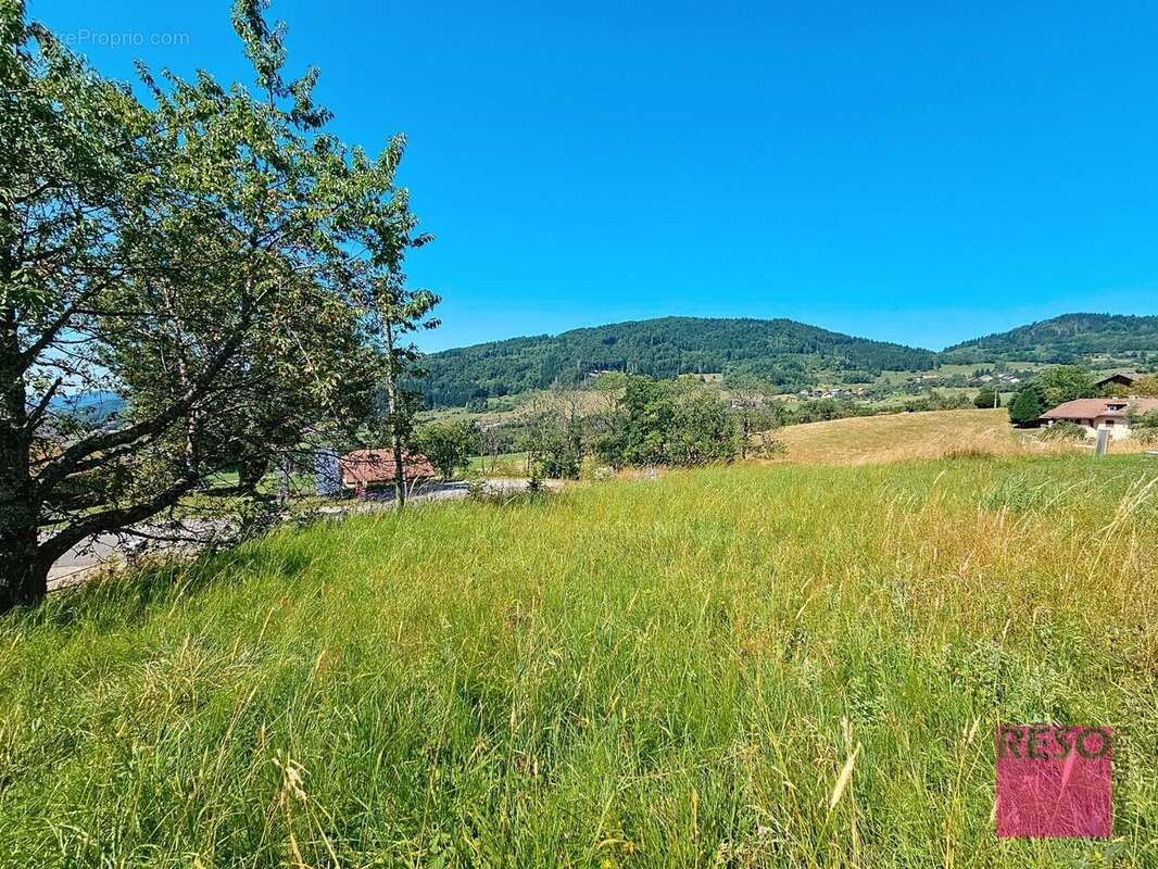 Terrain 719 m² à Habere-Poche  - photo 4