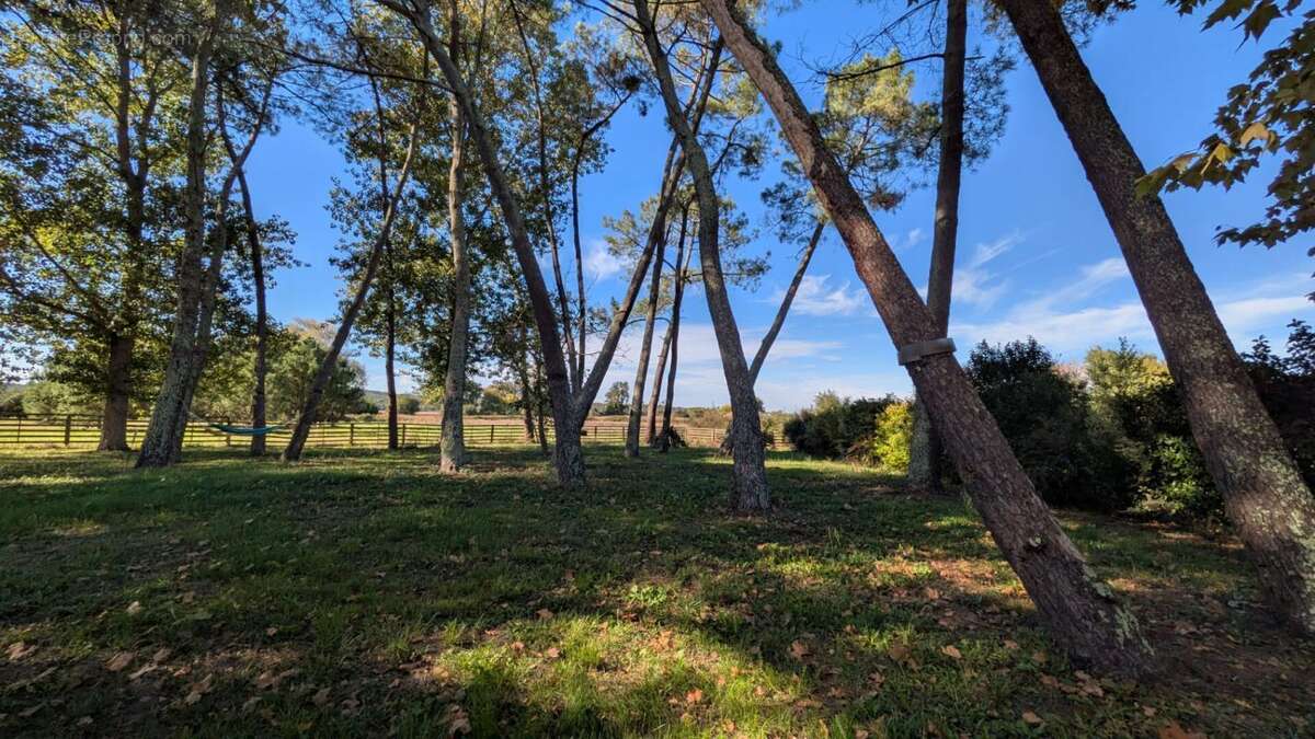 Maison à CASTELJALOUX