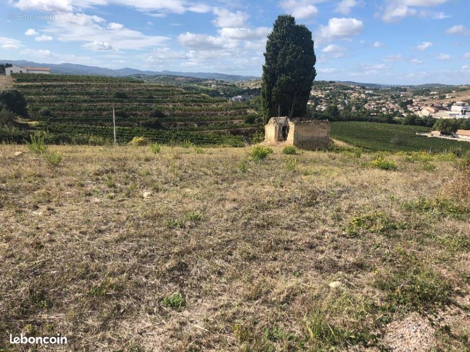 Terrain à LIMOUX