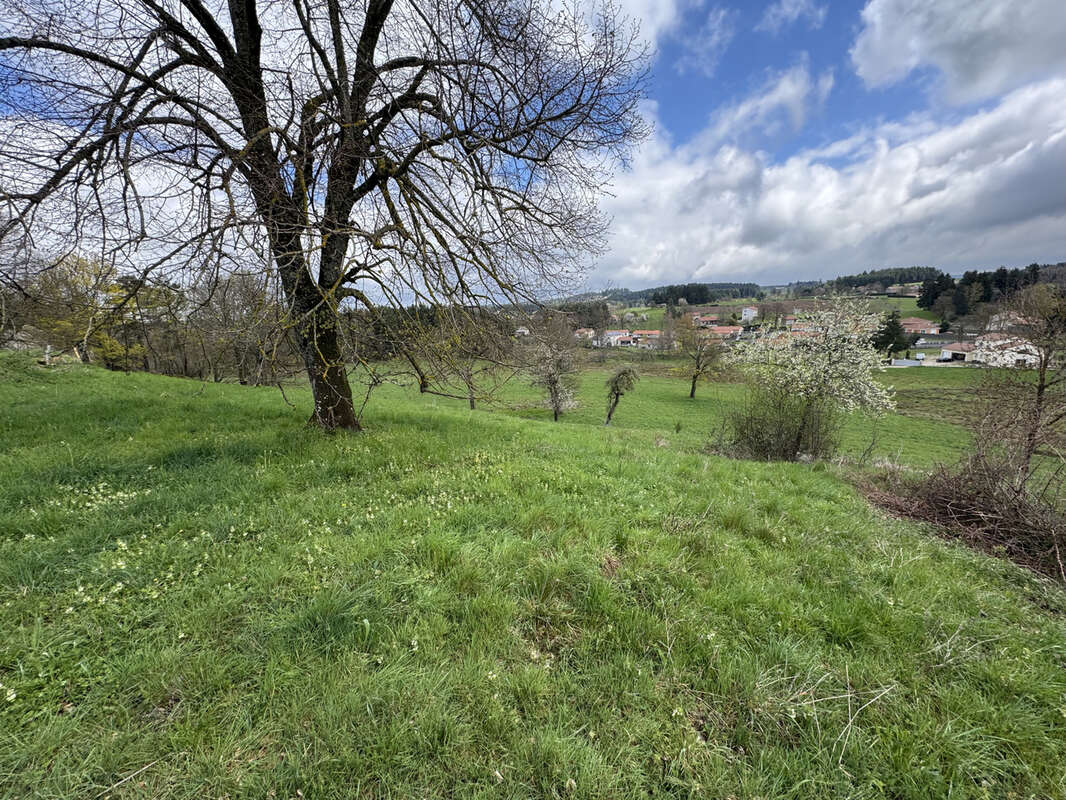 Terrain à LAPTE