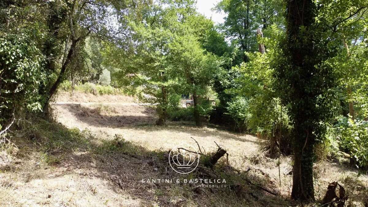 Terrain constructible de 1 641 m² à Vero en Corse-du-Sud : une opportunité rare entre mer et montagne - photo 3