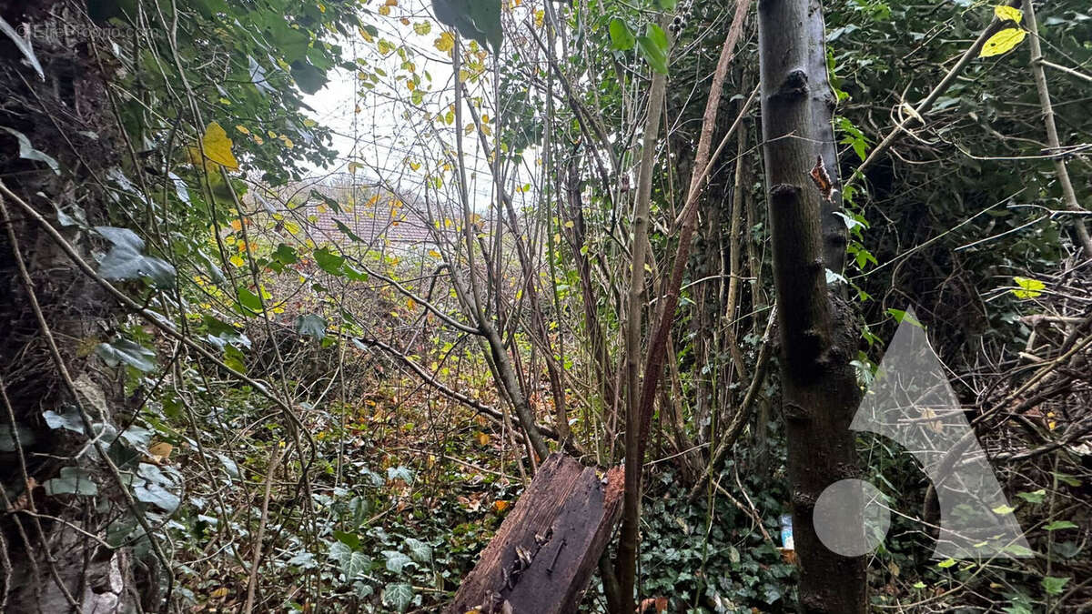 Terrain à CREPY-EN-VALOIS