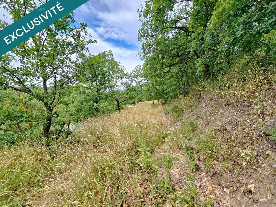 Photo 7 - Terrain à GRAISSESSAC