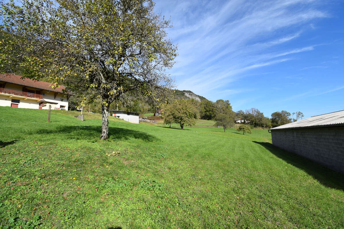 Terrain à ANGLEFORT