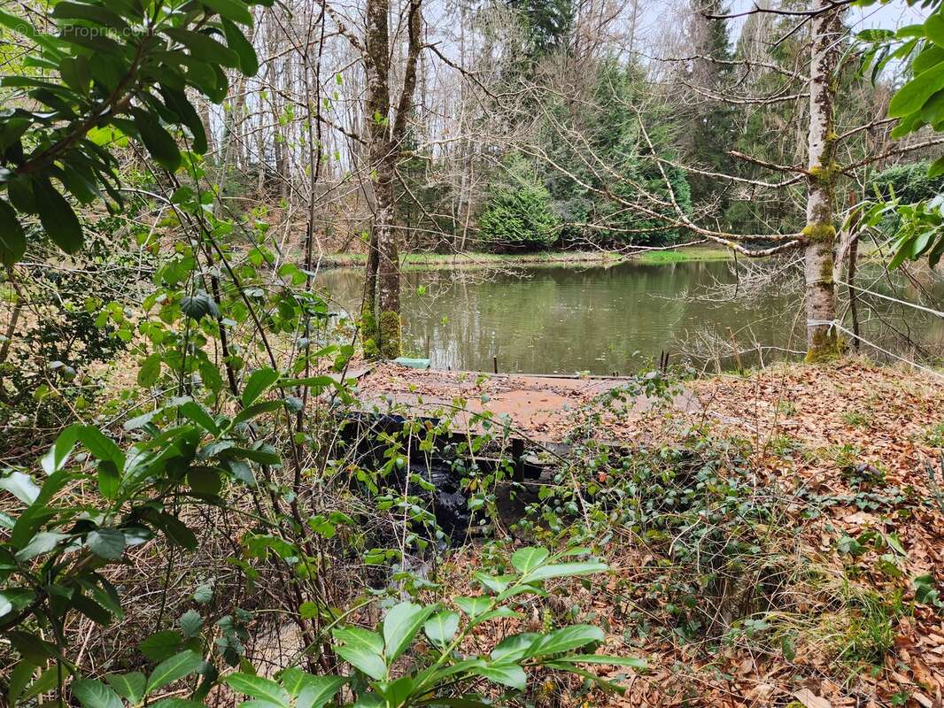 Terrain à BUSSIERE-GALANT