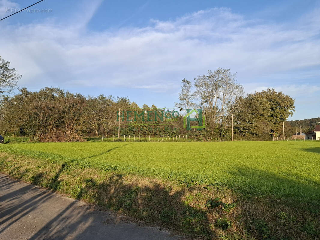  Terrain sans CU 5163 m2 NON CONSTRUCTIBLE + hangar avec photovoltaique. - photo 3