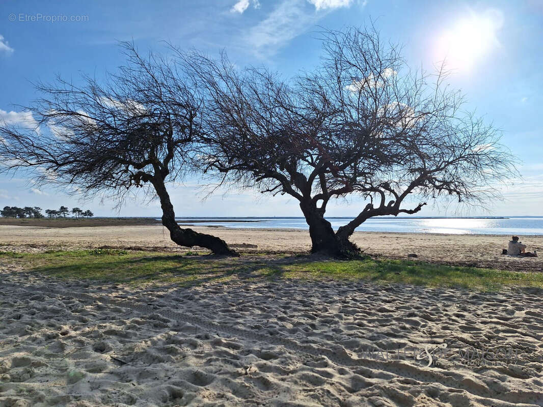 Appartement à LANTON