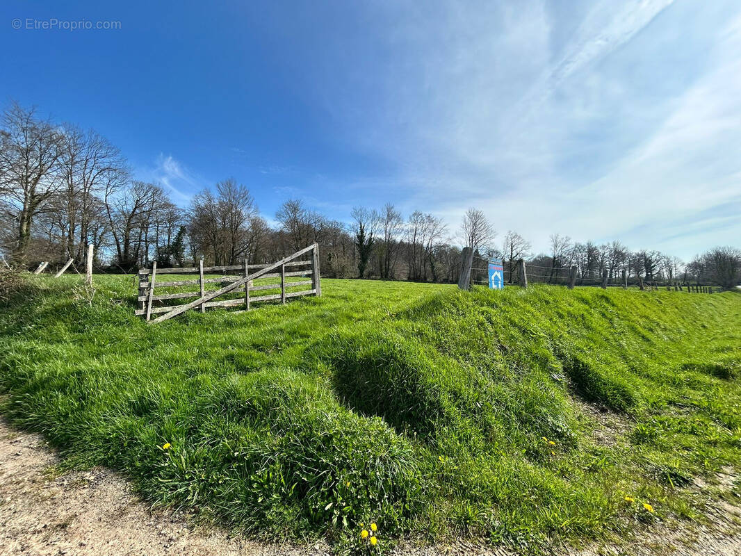 Terrain à COULOUVRAY-BOISBENATRE