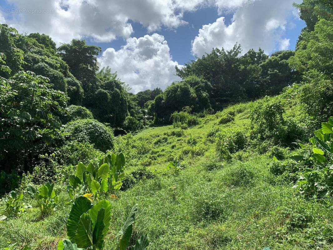 Photo 1 - Terrain à DUCOS