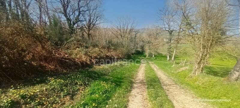 A vendre terrain de loisir a pance (35) - photo 4