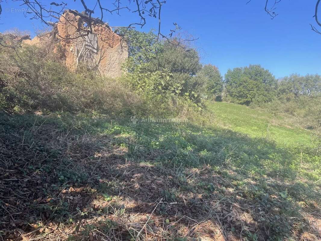 Terrain à BELLEGARDE