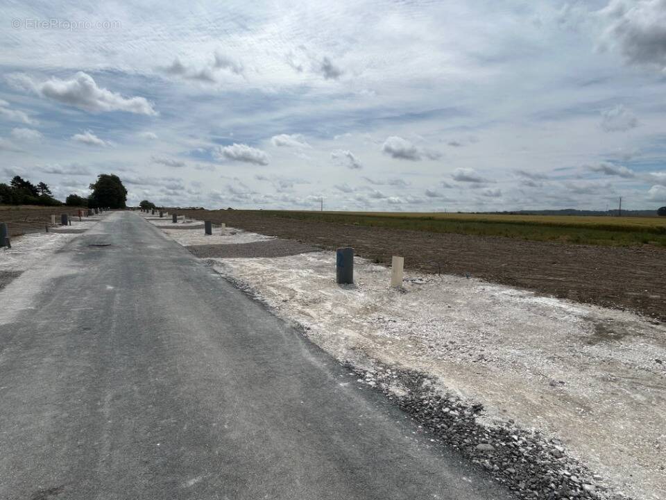 Terrain à SAINS-EN-GOHELLE