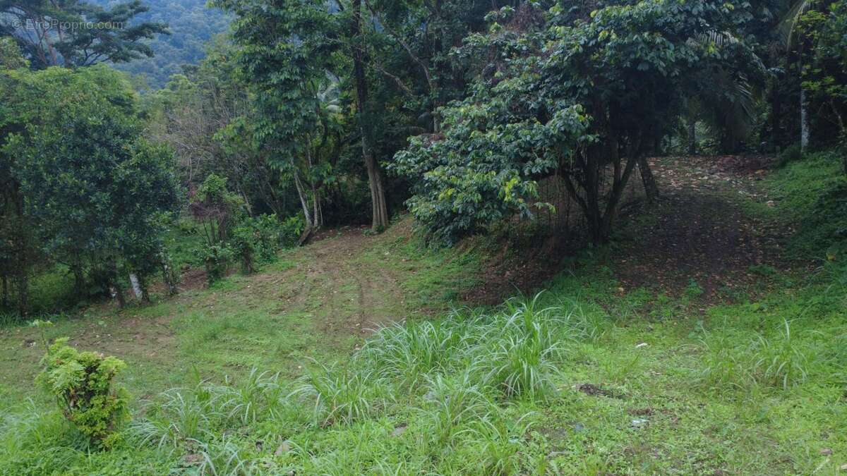 Terrain à FORT-DE-FRANCE