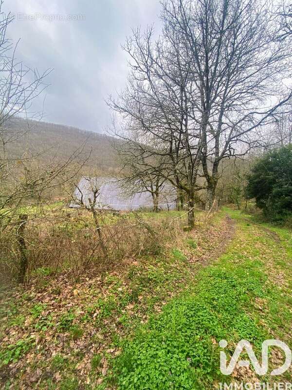 Photo 3 - Terrain à MARTRIN