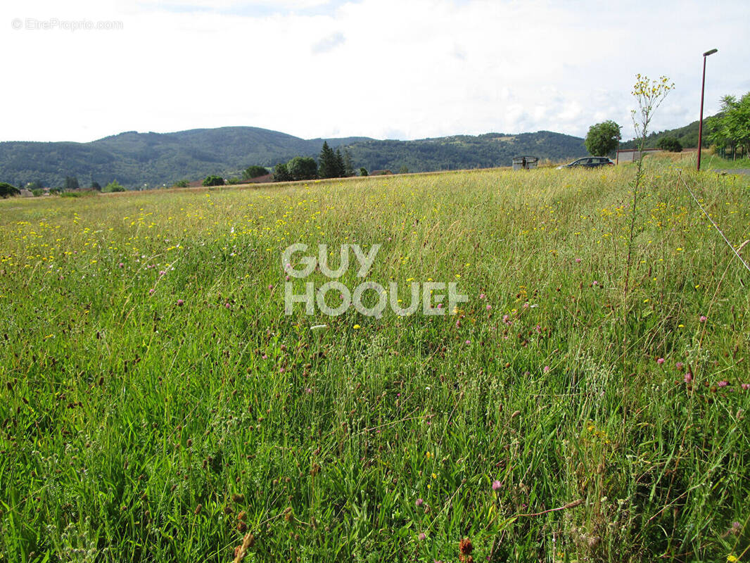 Terrain à LAVOUTE-CHILHAC