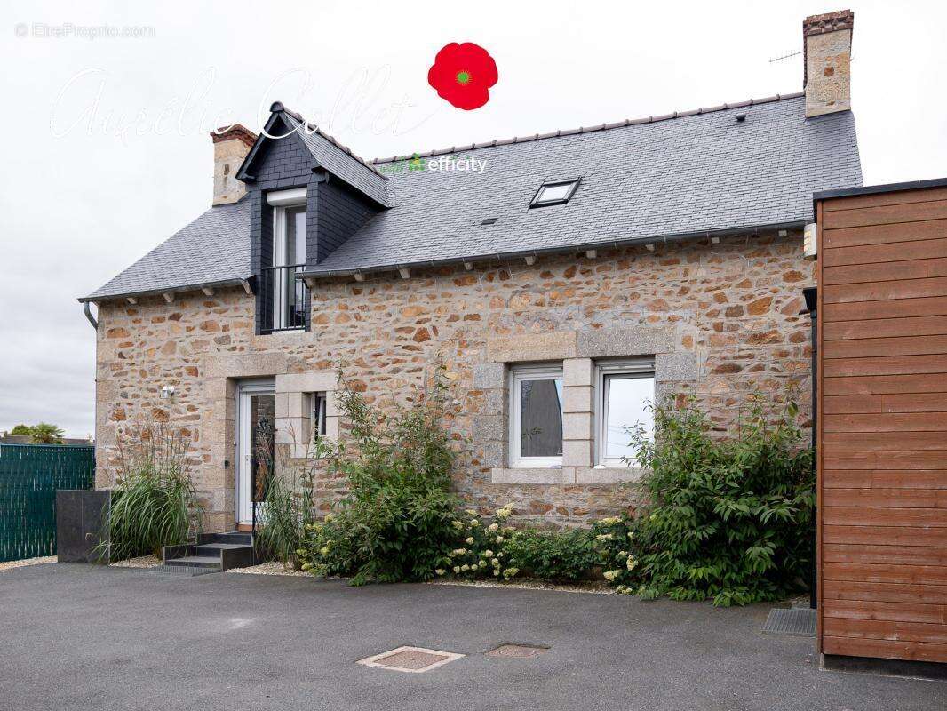 Maison 175 m² à Yffiniac  - photo 4
